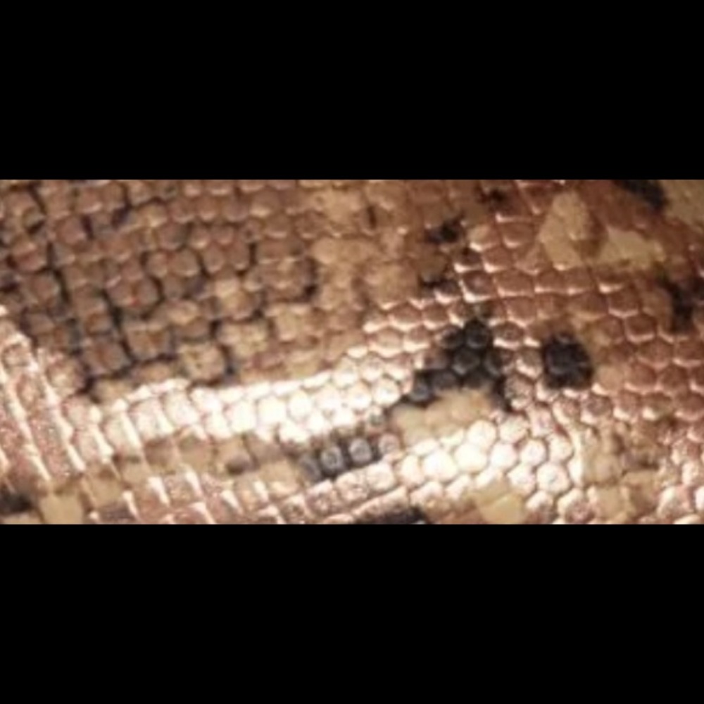 Pointed Toe Snake Flats - Picture 3 of 9